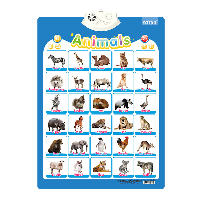 Animals Learn & Read (With Sound)