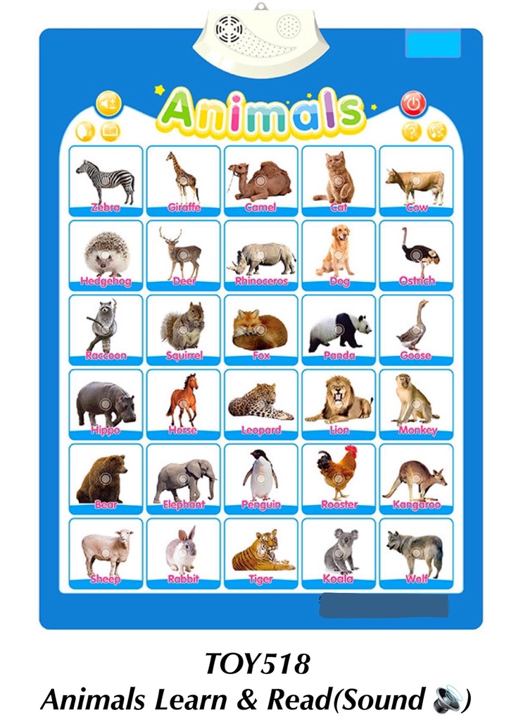 Animals Learn & Read (With Sound)