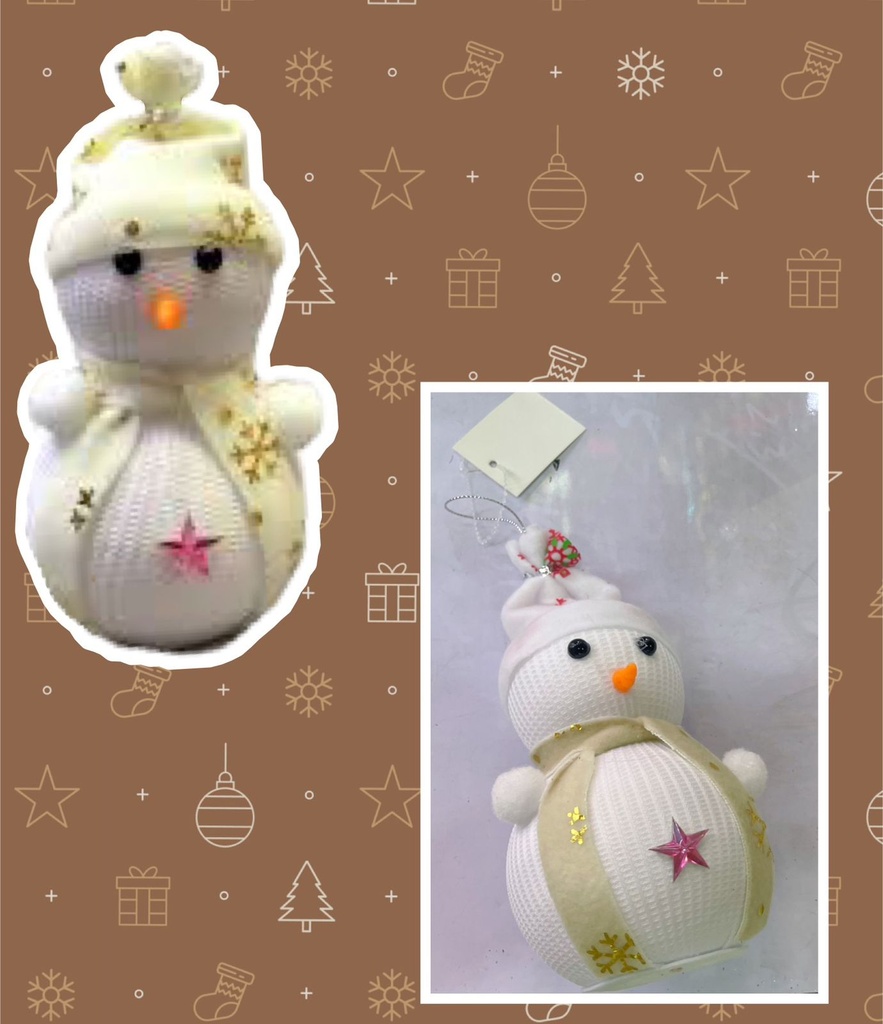 Christmas Decor Snow man
