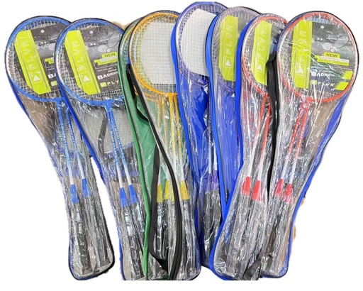 [BAD001(APR25)] Badminton